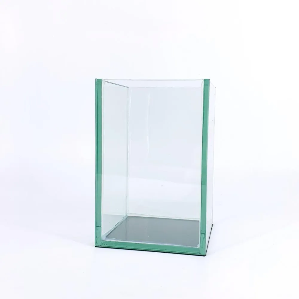 ANS GlassEdge Frameless Tank (Small Sizes)