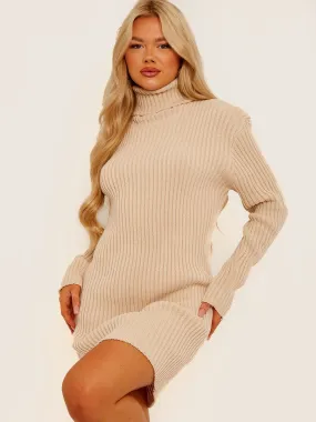 Charley Ribbed Knitted Roll Neck Bodycon Dress In Stone