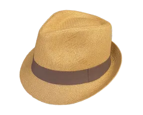 Henschel Hat Company | Hana Fedora