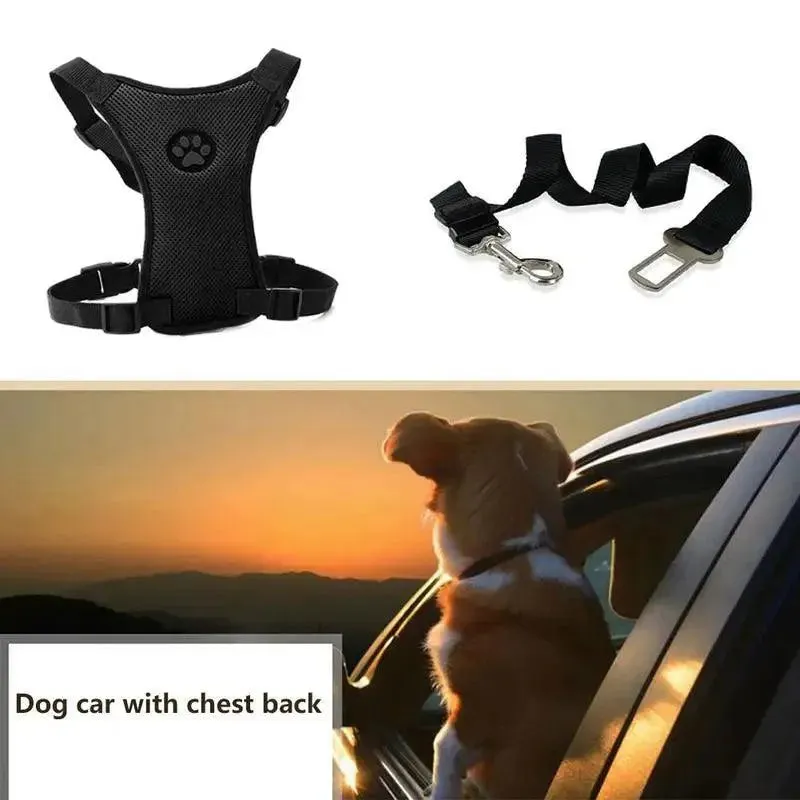 NEW Breathable Mesh Dog Harness Leash