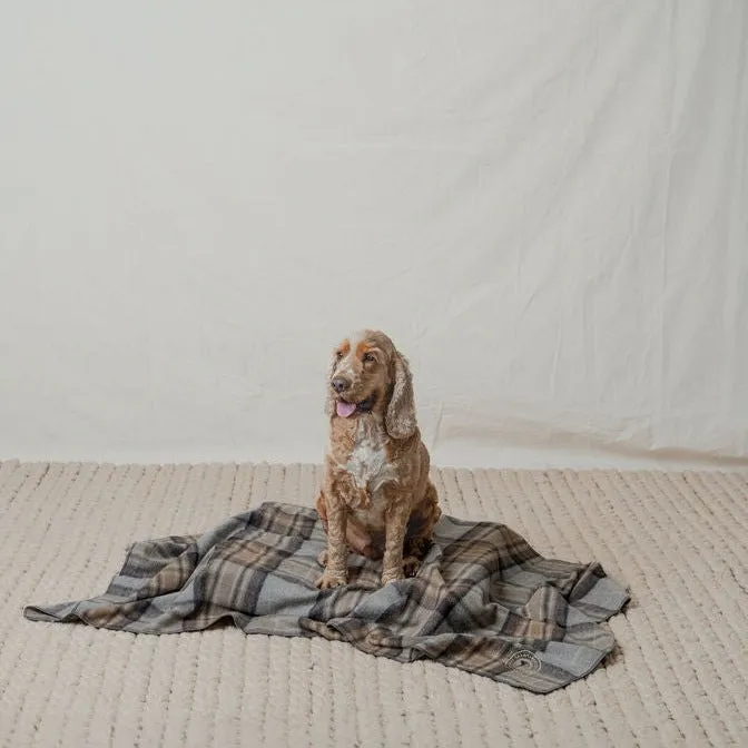 Pet Blanket | Winter